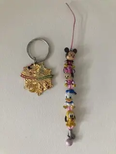 TokyoDisney land 20周年記念チャーム