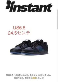 nike dunk sb low pro bluetile 24.5センチ
