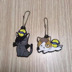ハイキュー!!×MIKASA ガチャガチャ 黒尾鉄朗 孤爪研磨