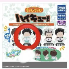 ハイキュー 国見英 ちゃびちゃび ちゃびちゃび ハイキュー!! 青葉城西・梟谷学園ソフビフィギュア