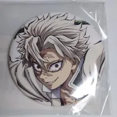 鬼滅の刃 C105 幕間画 WEBSHOP くじ 風柱 44mm缶バッジA 実弥