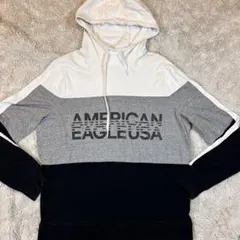 AMERICAN EAGLE 配色切替パーカー Lサイズ