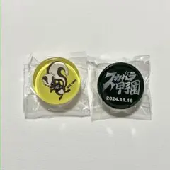 ① マグネット スカパラ甲子園 ランダムグッズ スカパラ