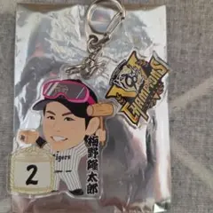 Item thumbnail for item c97b1060-6e90-4465-8199-b0f33c035d60