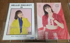 Item thumbnail for item 51ee473a-52b0-4415-b2ef-154b9430c029