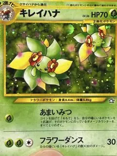 ポケモンカード eカード キレイハナ 1ED キラ ホロ - メルカリ