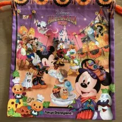 ディズニーランド　2015 巾着　ハロウィン