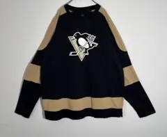 NHL ピッツバーグ・ペンギンズ プリントロゴ　長袖カットソー　ロンTのサムネイル