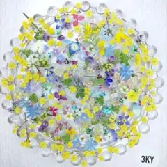押し花素材　ミニミニ小花セット　忘れな草　ミモザ