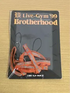 2026年最新】b'z brotherhood キーホルダーの人気アイテム - メルカリ