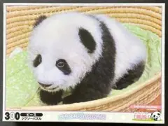 2026年最新】シャンシャンパズルの人気アイテム - メルカリ