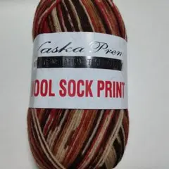 スーパーウォッシュメリノ　ウールソックプリント　4905ソックヤーン　内藤商事