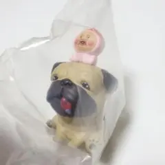 こびとづかん おすわりマスコット4　シークレット　ガルシア＆カクレモモジリ