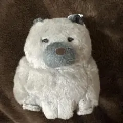 2026年最新】チャウねん ぬいぐるみの人気アイテム - メルカリ