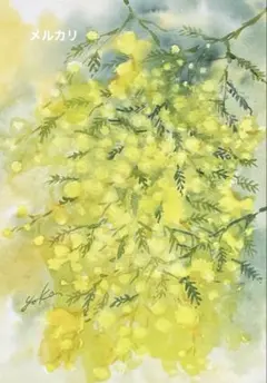 ミモザ6 水彩画　原画