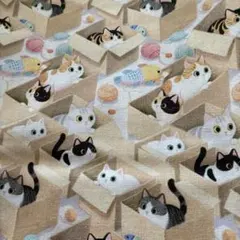 oyama23様 リクエスト 2点 まとめ商品