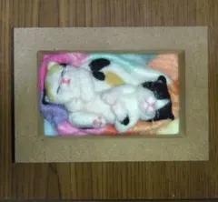 羊毛フェルト猫　仔猫　羊毛フェルトフレーム