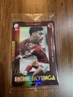 Item thumbnail for item 21bd9ba3-0edd-4bd9-8ff1-10ba6c485205