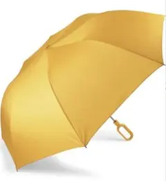 Item thumbnail for item cf7fba19-48b5-499b-97a2-524eb37fd69a