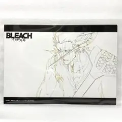 BLEACH 千年血戦篇 禍進譚 先行上映特典 イラストカード ポストカード