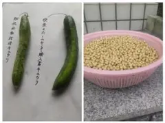 NOT A STRAWBERRY様 リクエスト 3点 まとめ商品