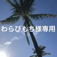 わらびもち様専用