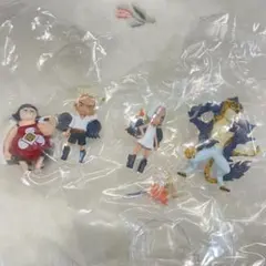 ワンピの実　第十九海戦 まとめ売り