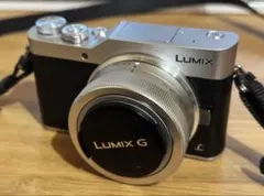 2025年最新】panasonic LUMIX dc-gf9の人気アイテム - メルカリ