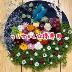 U´•ﻌ•`U  のんちゃん☆様専用ページ