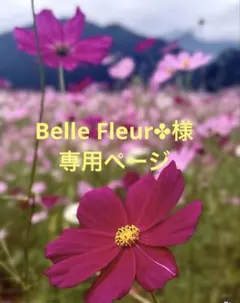 Belle Fleur✤様*専用ページ