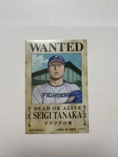 日本ハムファイターズ 田中正義 シール