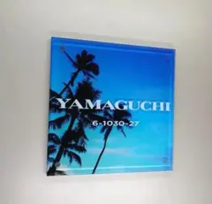 オーダーメイド アクリル表札＊透明4辺45度斜めカット鏡面仕上げ＊ＵＶ印刷のサムネイル