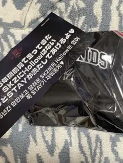 5/11スキズアプグレ特典　StrayKids dominATE