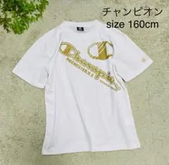 チャンピオン Tシャツ 160cm ホワイト ゴールドロゴ