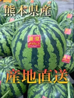 熊本県産　羅王ザ・スイート　1玉　10kg以上のサムネイル