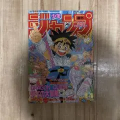 週刊少年ジャンプ 1994年 28号 ドラゴンボール表紙 - メルカリ