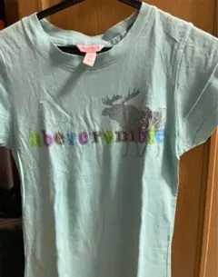 Tシャツ アバクロ 最終値下げします！