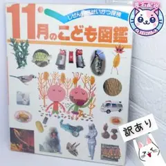 【訳あり】こども図鑑　11月のこどもと自然観察せいかつ探検 フレーベル館