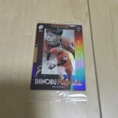 Item thumbnail for item aa2f7bf6-8abf-48b4-891f-8e6efcf5e3e8