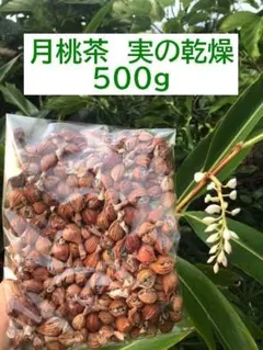 石垣島産】 月桃の実・乾燥 300g - メルカリ