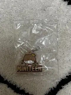 MINITEEN ぷっくりめじるしアクセサリー　CHANDALEE ディノ