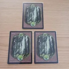 美品　MTG　アングルード/UGL　森　英語3枚セット