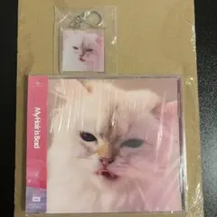 My Hair is Bad　マイヘア　アルバム cats 通常盤