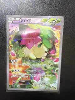 2026年最新】シリーズ：XY／XYBREAK ポケモンカードゲームの人気