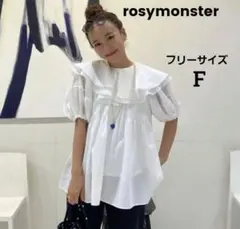 美品⚑ロージーモンスター rosymonster クレープカラー ブラウス Fのサムネイル