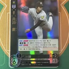 ドリームオーダー 井川慶　阪神 SR