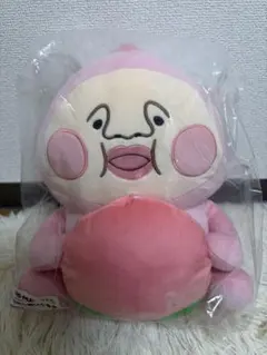 こびとづかん　カクレモモジリ　A賞