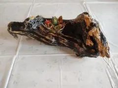 流木 多肉植物鉢 自然なデザイン