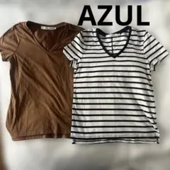 新品未使用 AZUL 2枚まとめ売り ブラウンストライプVネックTシャツ