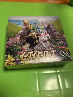 YUDAI(開封時動画撮影)様 リクエスト 2点 まとめ商品